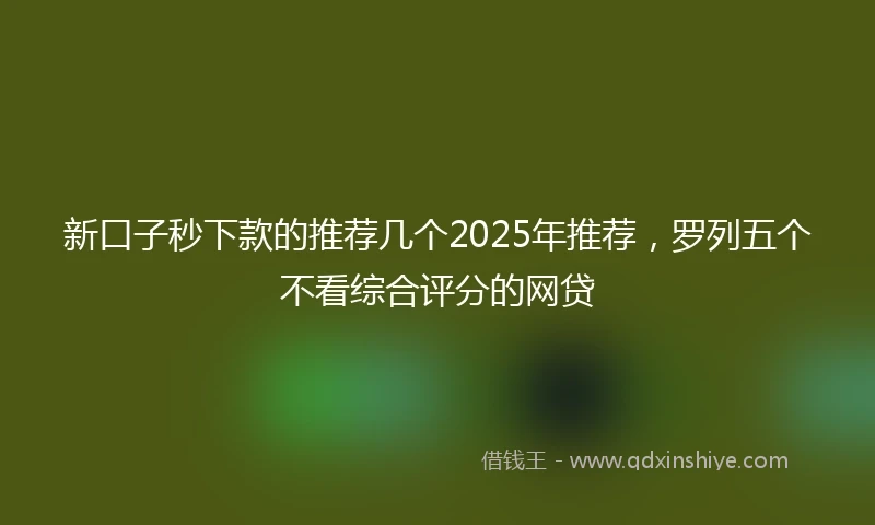 新口子秒下款的推荐几个2025年推荐，罗列五个不看综合评分的网贷