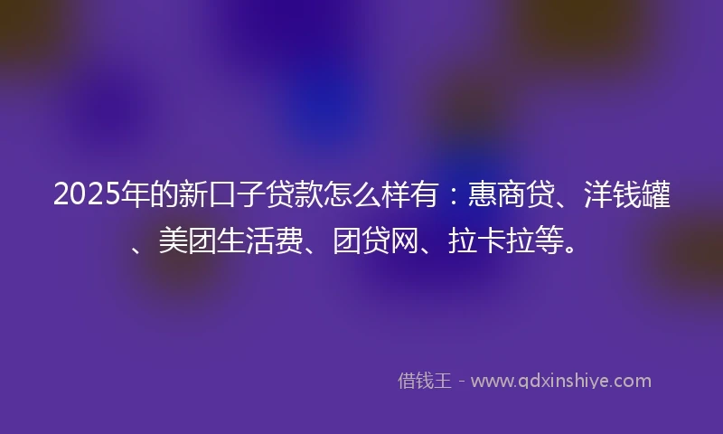 2025年的新口子贷款怎么样有：惠商贷、洋钱罐、美团生活费、团贷网、拉卡拉等。