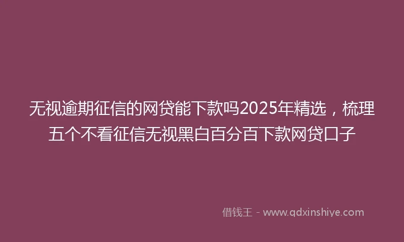无视逾期征信的网贷能下款吗2025年精选，梳理五个不看征信无视黑白百分百下款网贷口子
