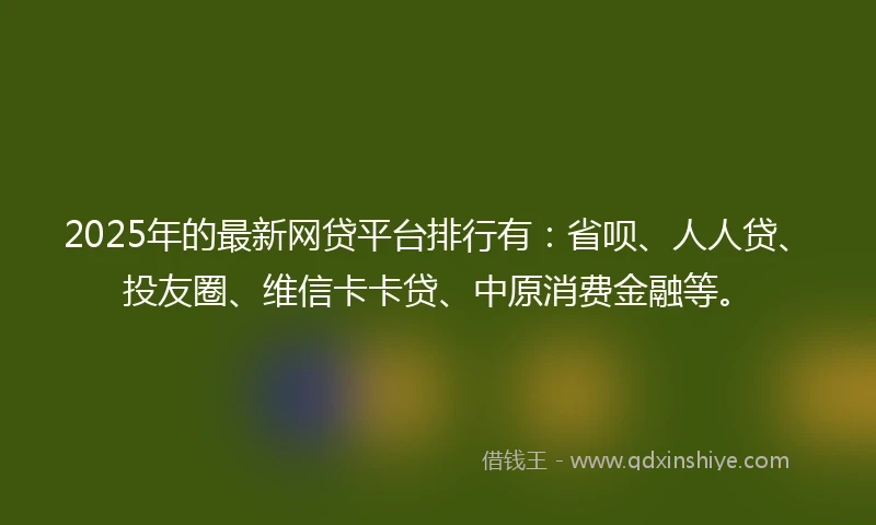 2025年的最新网贷平台排行有：省呗、人人贷、投友圈、维信卡卡贷、中原消费金融等。