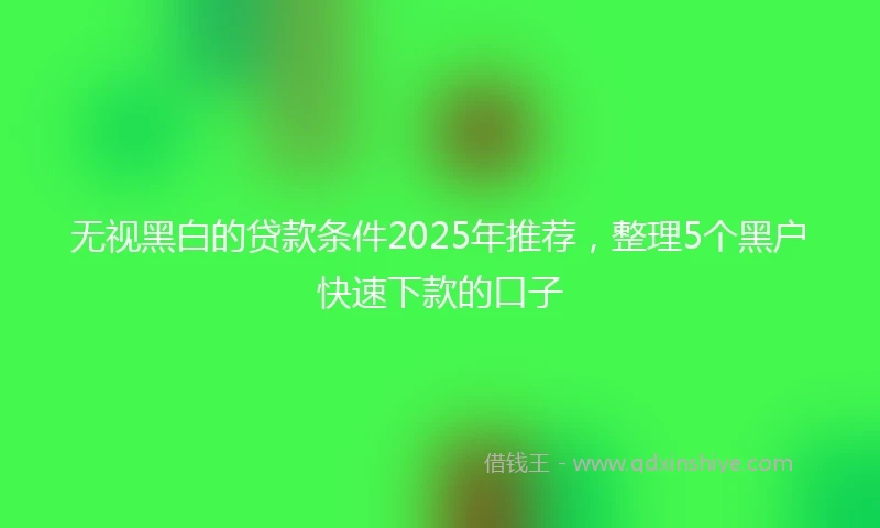 无视黑白的贷款条件2025年推荐，整理5个黑户快速下款的口子