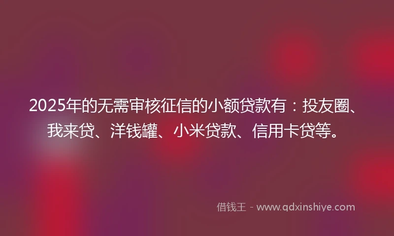 2025年的无需审核征信的小额贷款有：投友圈、我来贷、洋钱罐、小米贷款、信用卡贷等。