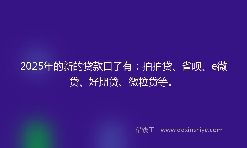 2025年的新的贷款口子有：拍拍贷、省呗、e微贷、好期贷、微粒贷等。