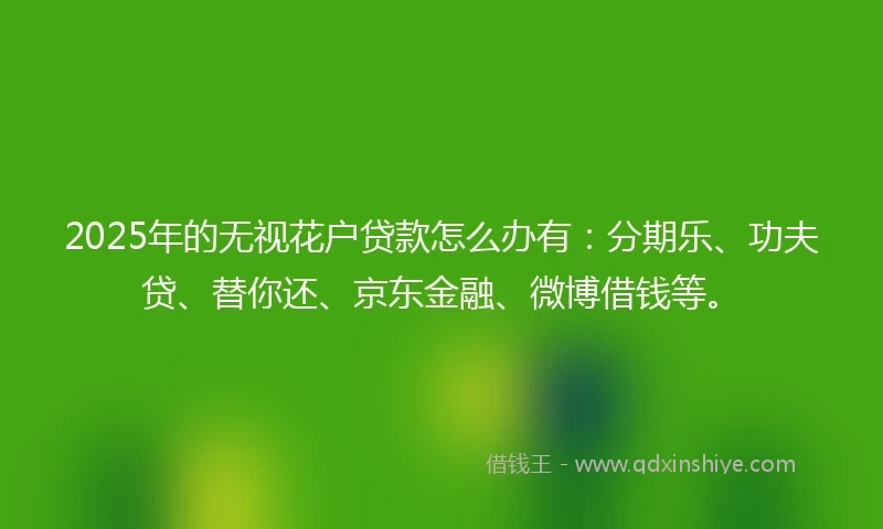 2025年的无视花户贷款怎么办有：分期乐、功夫贷、替你还、京东金融、微博借钱等。