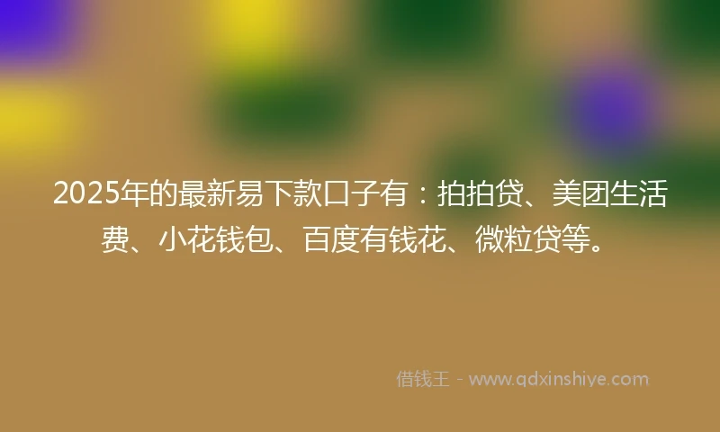2025年的最新易下款口子有：拍拍贷、美团生活费、小花钱包、百度有钱花、微粒贷等。