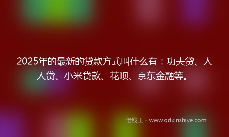 2025年的最新的贷款方式叫什么有：功夫贷、人人贷、小米贷款、花呗、京东金融等。