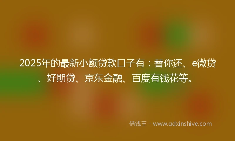 2025年的最新小额贷款口子有：替你还、e微贷、好期贷、京东金融、百度有钱花等。