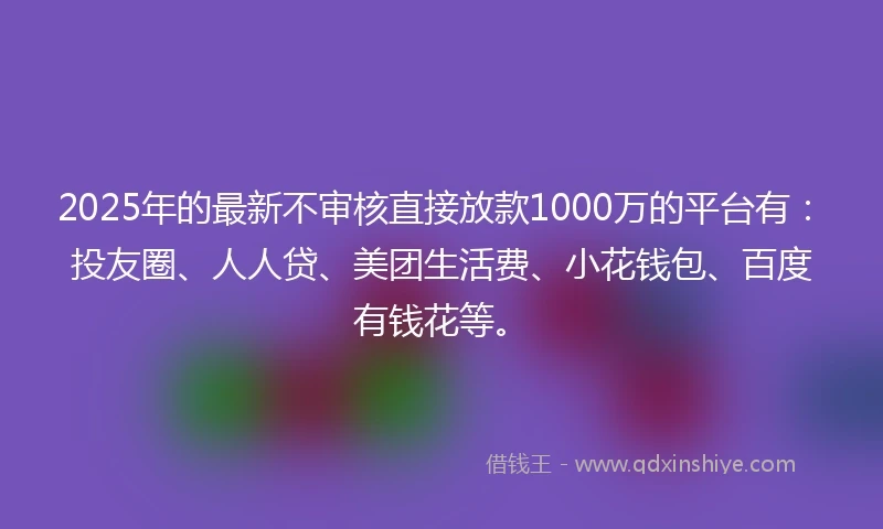 2025年的最新不审核直接放款1000万的平台有：投友圈、人人贷、美团生活费、小花钱包、百度有钱花等。