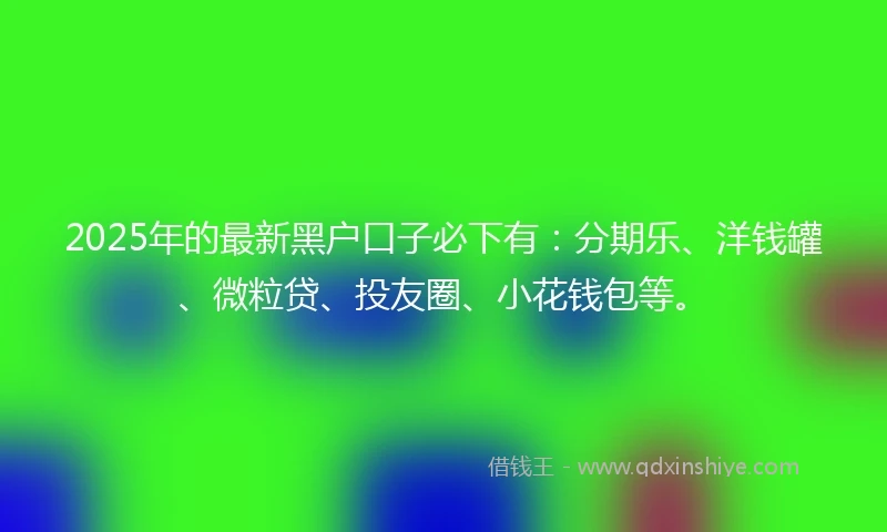 2025年的最新黑户口子必下有：分期乐、洋钱罐、微粒贷、投友圈、小花钱包等。