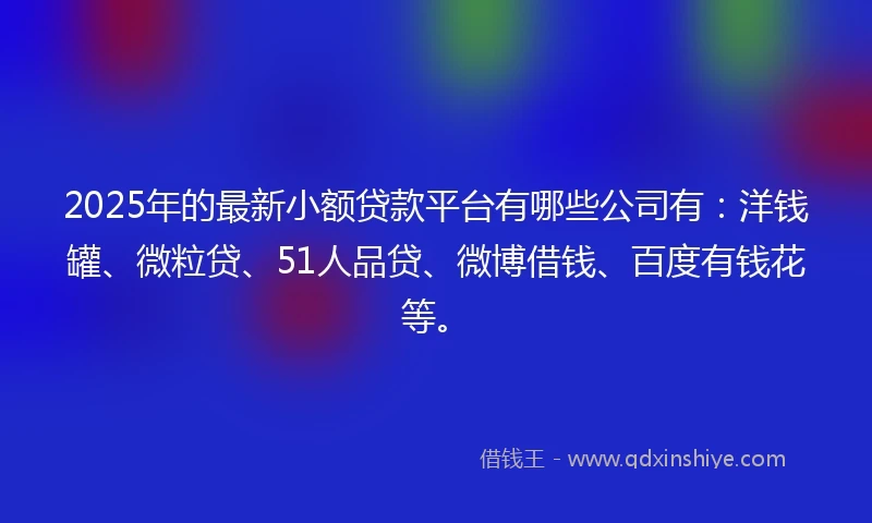 2025年的最新小额贷款平台有哪些公司有：洋钱罐、微粒贷、51人品贷、微博借钱、百度有钱花等。