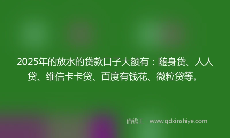 2025年的放水的贷款口子大额有：随身贷、人人贷、维信卡卡贷、百度有钱花、微粒贷等。
