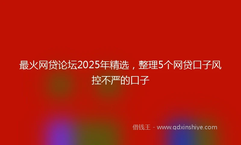 最火网贷论坛2025年精选，整理5个网贷口子风控不严的口子