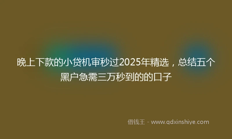 晚上下款的小贷机审秒过2025年精选,总结五个黑户急需三万秒到的的口子