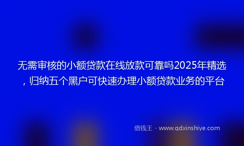 无需审核的小额贷款在线放款可靠吗2025年精选，归纳五个黑户可快速办理小额贷款业务的平台