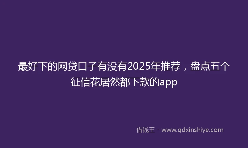 最好下的网贷口子有没有2025年推荐，盘点五个征信花居然都下款的app
