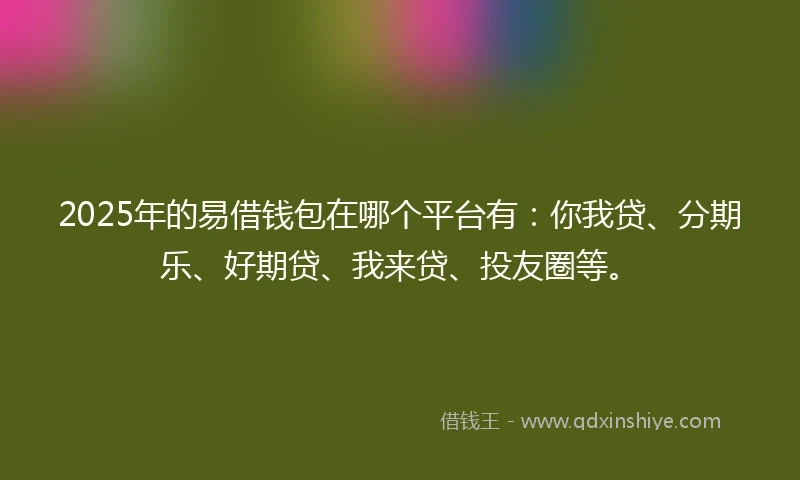 2025年的易借钱包在哪个平台有：你我贷、分期乐、好期贷、我来贷、投友圈等。