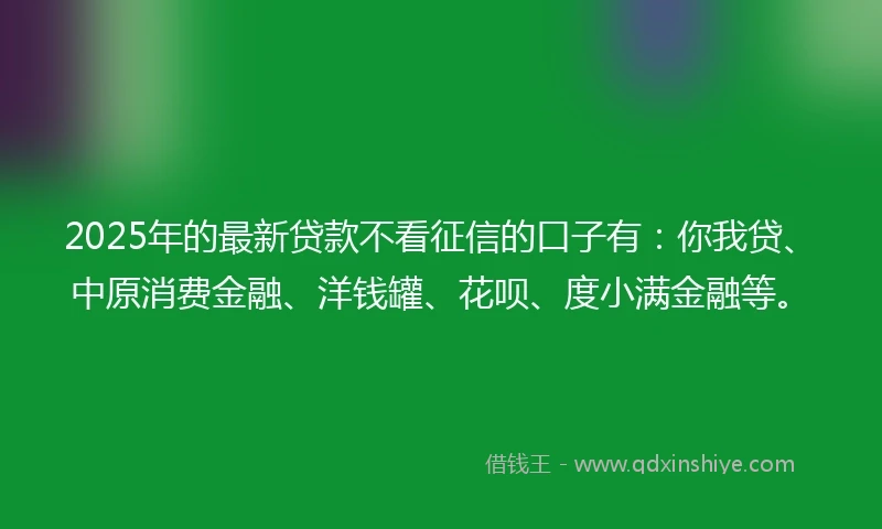 2025年的最新贷款不看征信的口子有：你我贷、中原消费金融、洋钱罐、花呗、度小满金融等。