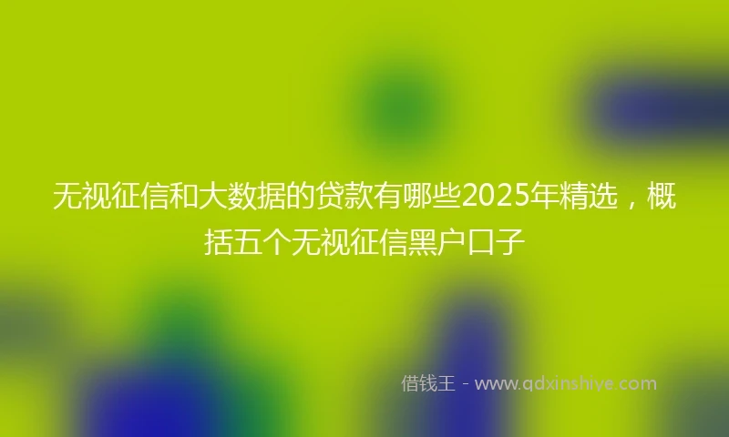 无视征信和大数据的贷款有哪些2025年精选，概括五个无视征信黑户口子