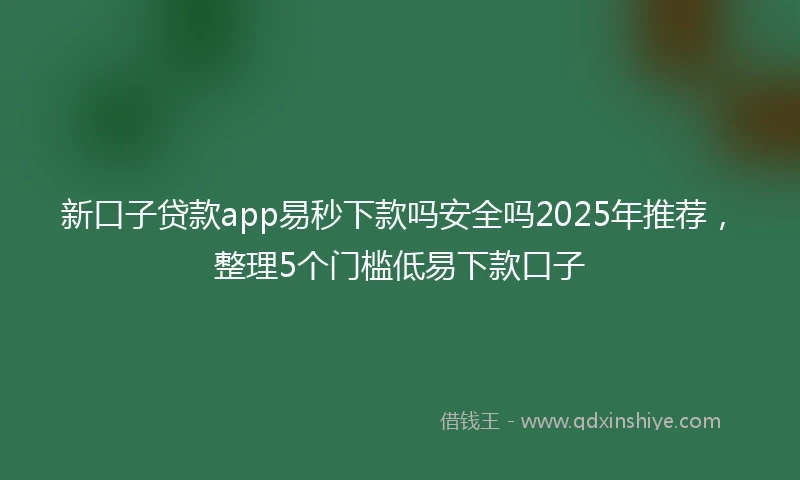 新口子贷款app易秒下款吗安全吗2025年推荐，整理5个门槛低易下款口子