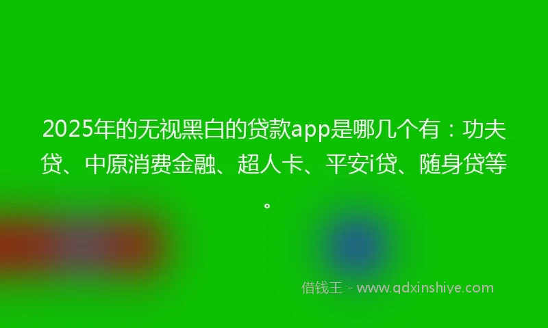 2025年的无视黑白的贷款app是哪几个有：功夫贷、中原消费金融、超人卡、平安i贷、随身贷等。