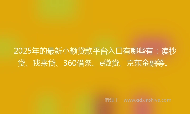 2025年的最新小额贷款平台入口有哪些有：读秒贷、我来贷、360借条、e微贷、京东金融等。