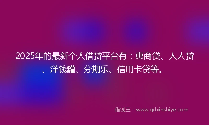 2025年的最新个人借贷平台有：惠商贷、人人贷、洋钱罐、分期乐、信用卡贷等。
