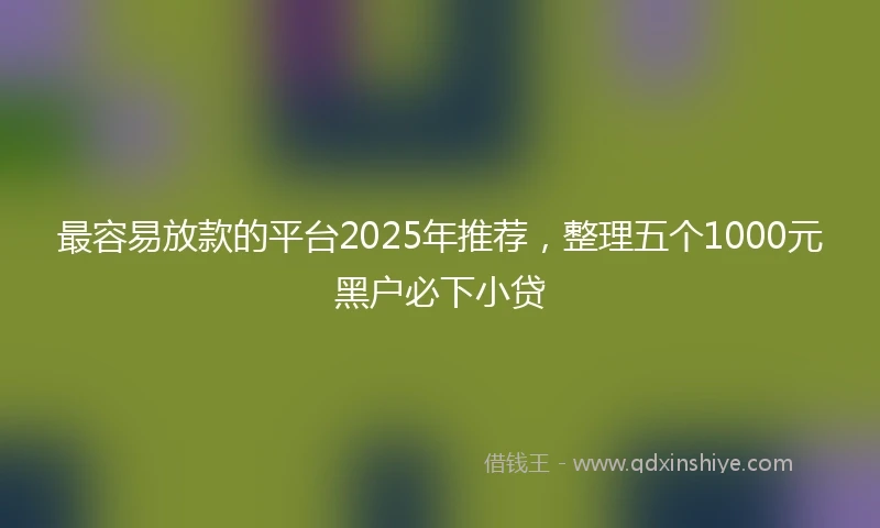 最容易放款的平台2025年推荐，整理五个1000元黑户必下小贷