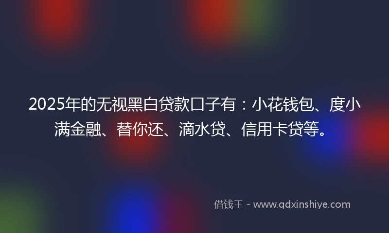 2025年的无视黑白贷款口子有：小花钱包、度小满金融、替你还、滴水贷、信用卡贷等。