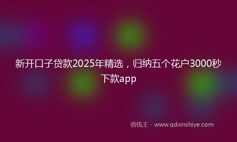 新开口子贷款2025年精选，归纳五个花户3000秒下款app