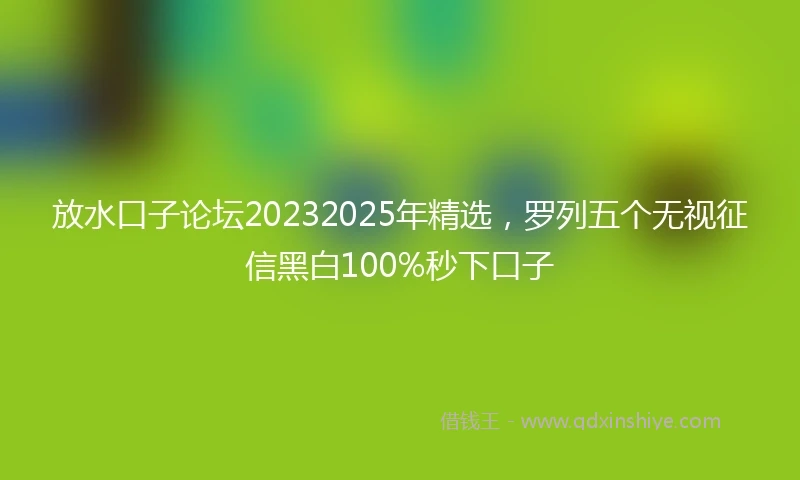 放水口子论坛20232025年精选，罗列五个无视征信黑白100%秒下口子
