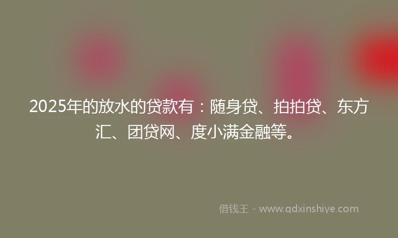 2025年的放水的贷款有：随身贷、拍拍贷、东方汇、团贷网、度小满金融等。