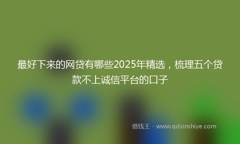 最好下来的网贷有哪些2025年精选，梳理五个贷款不上诚信平台的口子