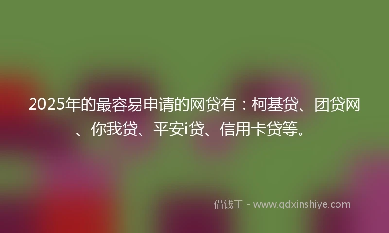 2025年的最容易申请的网贷有：柯基贷、团贷网、你我贷、平安i贷、信用卡贷等。
