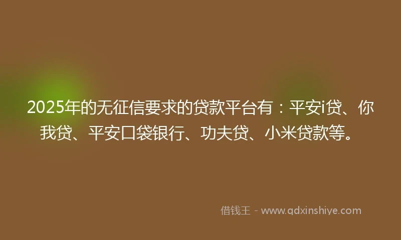 2025年的无征信要求的贷款平台有：平安i贷、你我贷、平安口袋银行、功夫贷、小米贷款等。