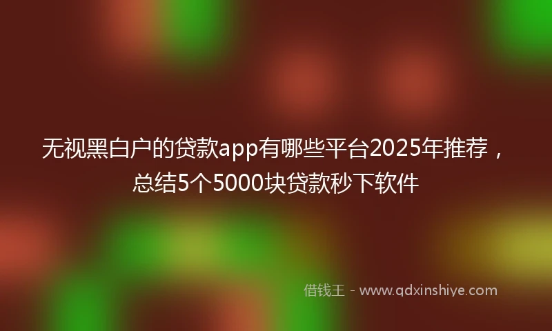 无视黑白户的贷款app有哪些平台2025年推荐，总结5个5000块贷款秒下软件