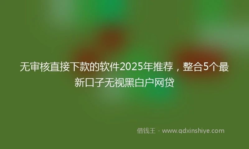 无审核直接下款的软件2025年推荐，整合5个最新口子无视黑白户网贷