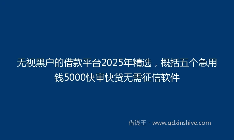 无视黑户的借款平台2025年精选，概括五个急用钱5000快审快贷无需征信软件