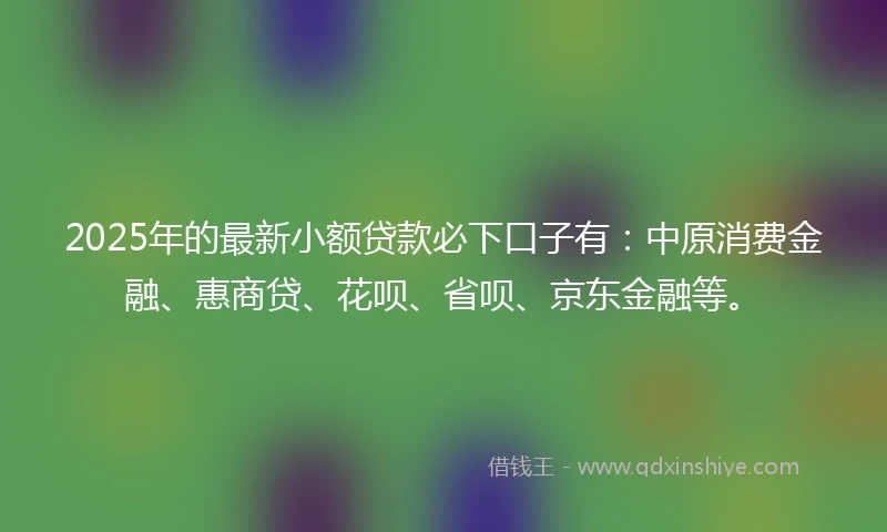 2025年的最新小额贷款必下口子有：中原消费金融、惠商贷、花呗、省呗、京东金融等。