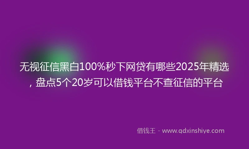 无视征信黑白100%秒下网贷有哪些2025年精选，盘点5个20岁可以借钱平台不查征信的平台
