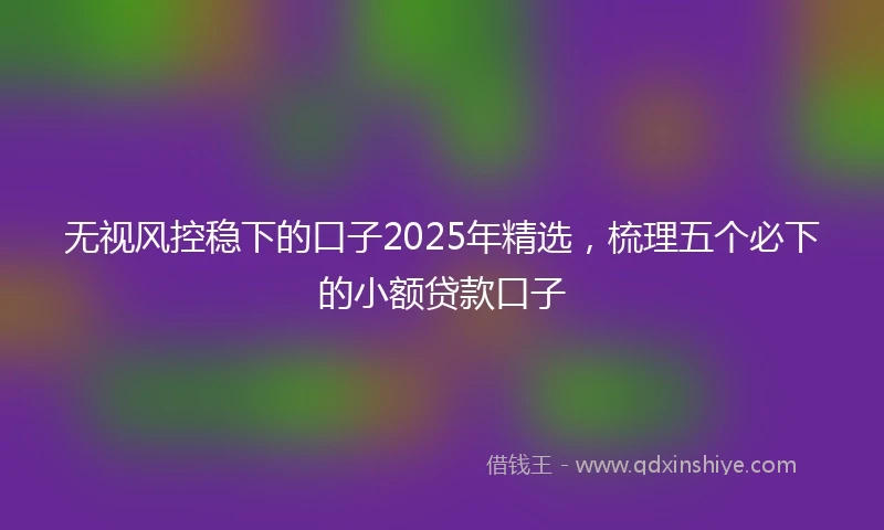 无视风控稳下的口子2025年精选,梳理五个必下的小额贷款口子