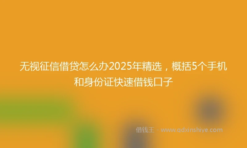 无视征信借贷怎么办2025年精选，概括5个手机和身份证快速借钱口子