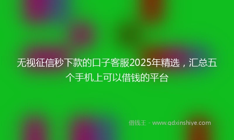 无视征信秒下款的口子客服2025年精选，汇总五个手机上可以借钱的平台
