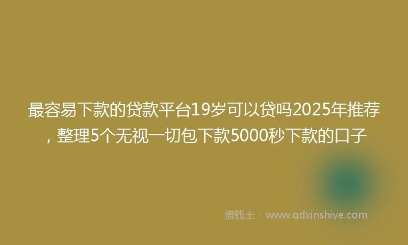 最容易下款的贷款平台19岁可以贷吗2025年推荐，整理5个无视一切包下款5000秒下款的口子