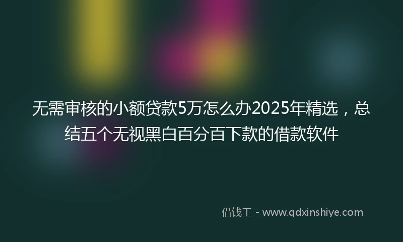 无需审核的小额贷款5万怎么办2025年精选，总结五个无视黑白百分百下款的借款软件