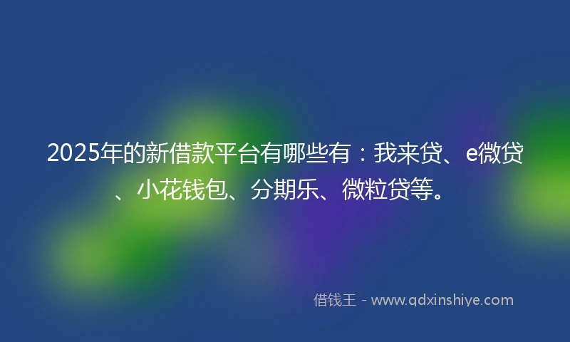 2025年的新借款平台有哪些有：我来贷、e微贷、小花钱包、分期乐、微粒贷等。