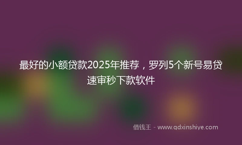 最好的小额贷款2025年推荐，罗列5个新号易贷速审秒下款软件
