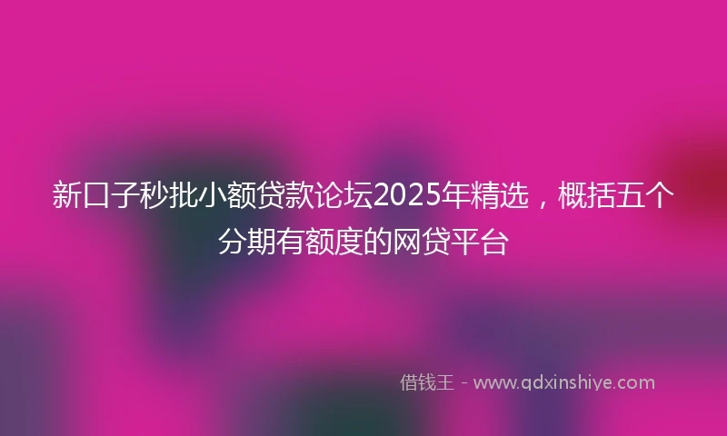 新口子秒批小额贷款论坛2025年精选，概括五个分期有额度的网贷平台