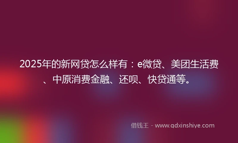 2025年的新网贷怎么样有：e微贷、美团生活费、中原消费金融、还呗、快贷通等。