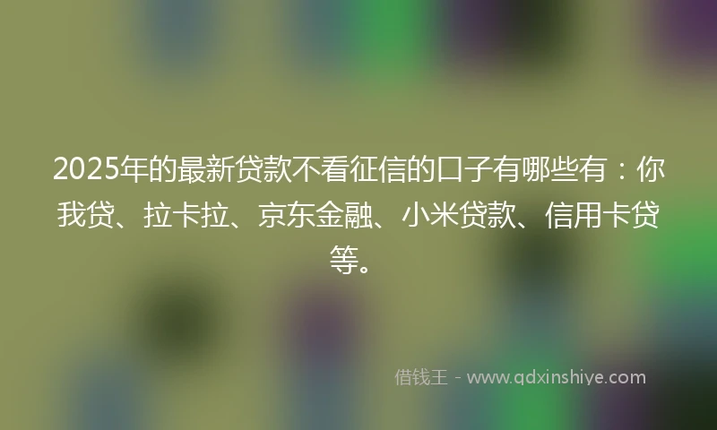 2025年的最新贷款不看征信的口子有哪些有：你我贷、拉卡拉、京东金融、小米贷款、信用卡贷等。