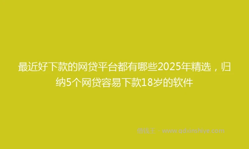 最近好下款的网贷平台都有哪些2025年精选，归纳5个网贷容易下款18岁的软件